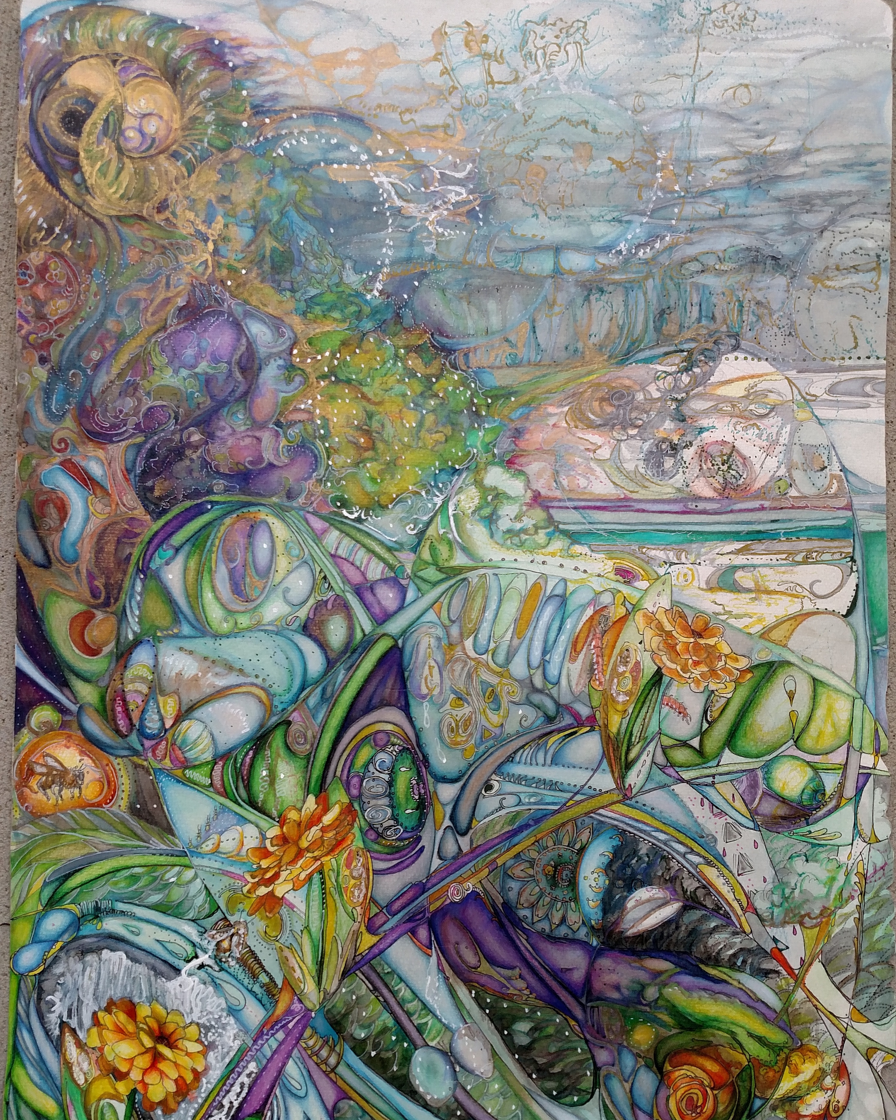 IMG_20170526_161515_213